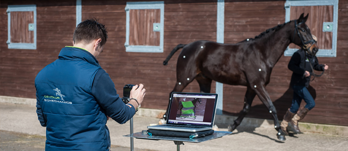 Quintic Equine QAR